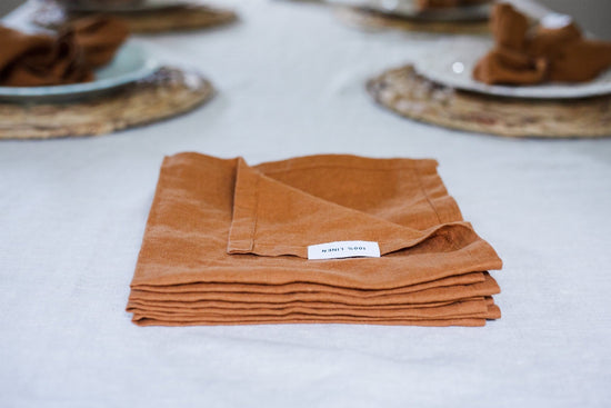 Load image into Gallery viewer, Natural Rustic Linen Napkin Set of 2 | Handmade Soft Linen Napkin Set | Rust Linen Napkins Fall Kitchen Decor | Table Decor | Table Linens

