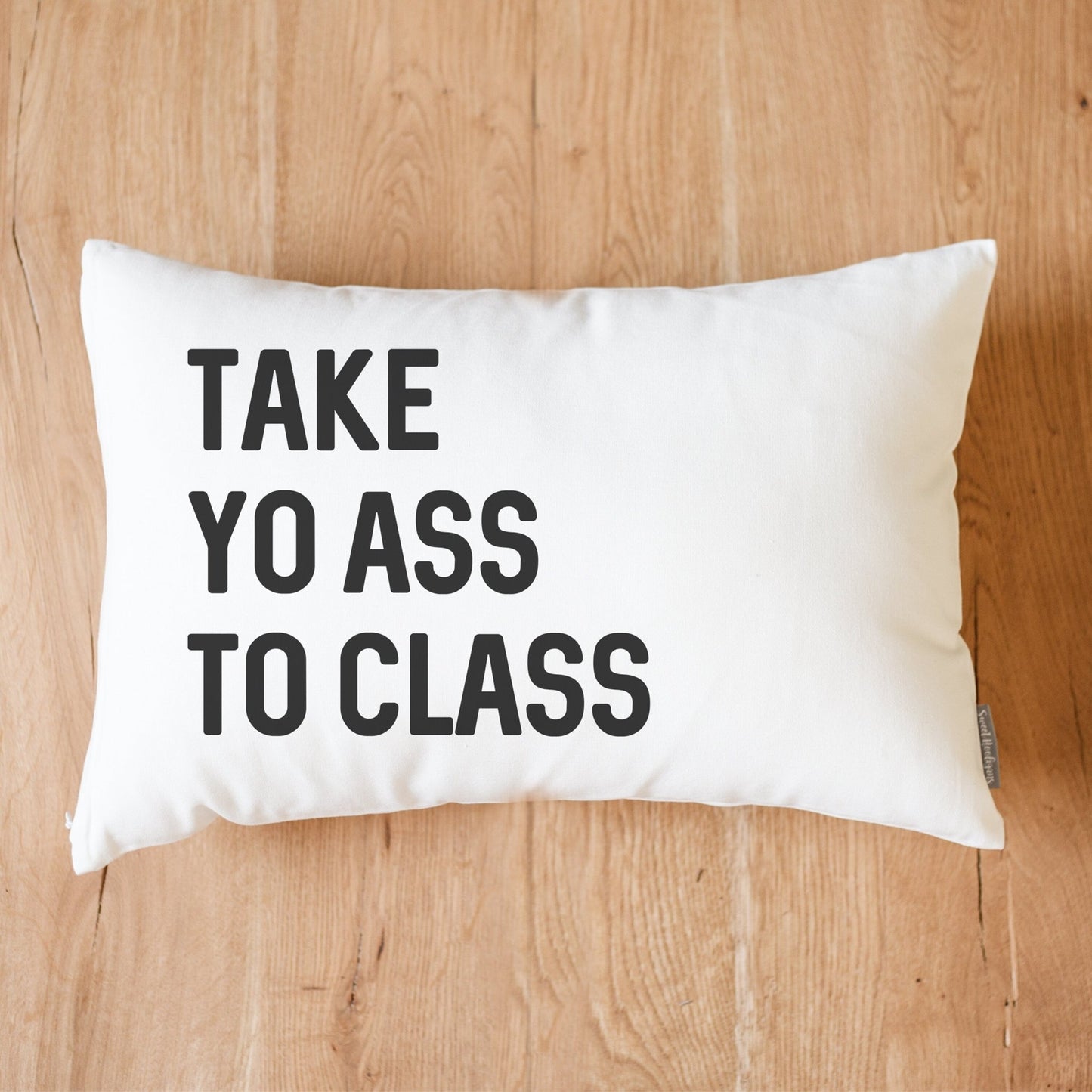 Take Yo Ass To Class Dorm Pillow | Dorm Decor | Going Away Gift | Gift for Son | Gift for Daughter | College Dorm Gift From Parents - Sweet Hooligans Design